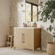 Alsup 30" Single Vanity with Quartz Top