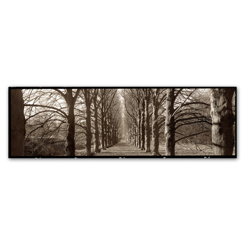 Alan Blaustein «Hampton Gates Promenade I», reproduction de photo sur toile tendue, H 10 po x l 32 po x P 2 po
