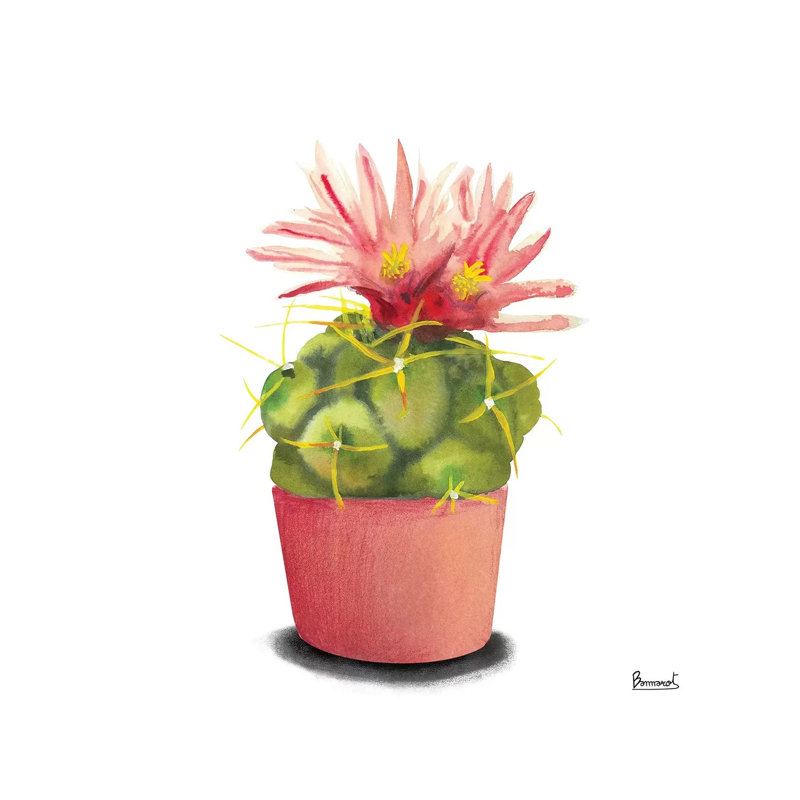 Cactus Flowers I by Bannarot - Wrapped Canvas Gallery-Wrapped Canvas Giclée, 30.48 cm H x 30.48 cm W