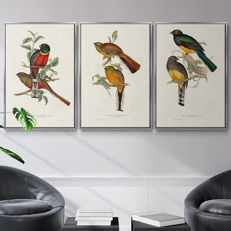 Elegant Trogons I 3 pièces, H 27 po x l 54 po, Argent
