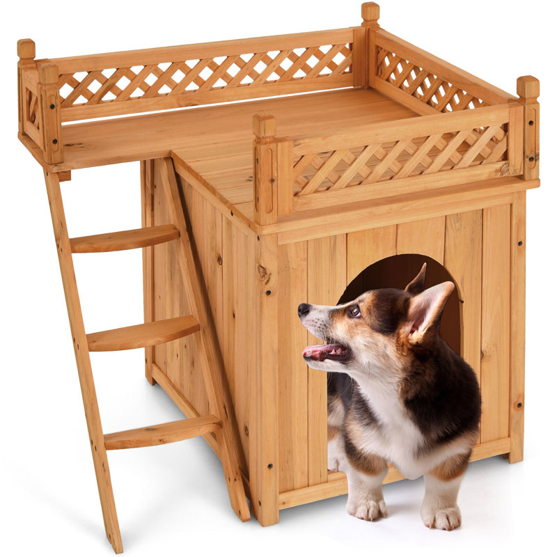 Cuthbertson Dog House