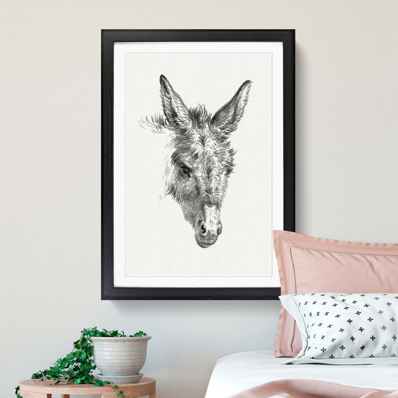 The Sketch of a Donkey by Jean Bernard - Picture Frame Drawing Print, Black Framed, 36cm H x 27cm W x 2cm D