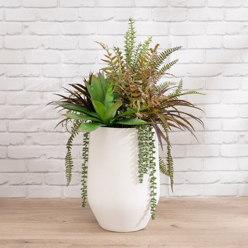 Antavia Faux Foliage Plant in Cement Pot, White