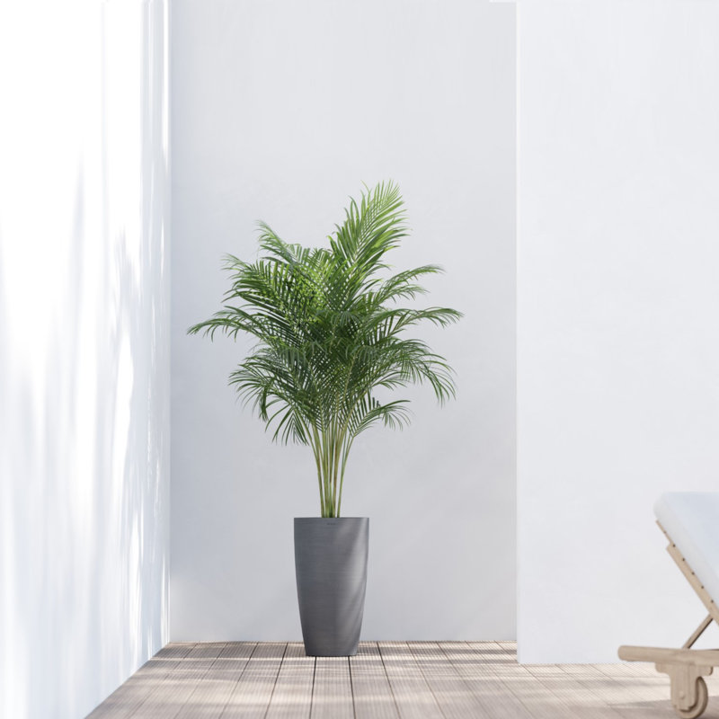 Pot Planter, Gray
