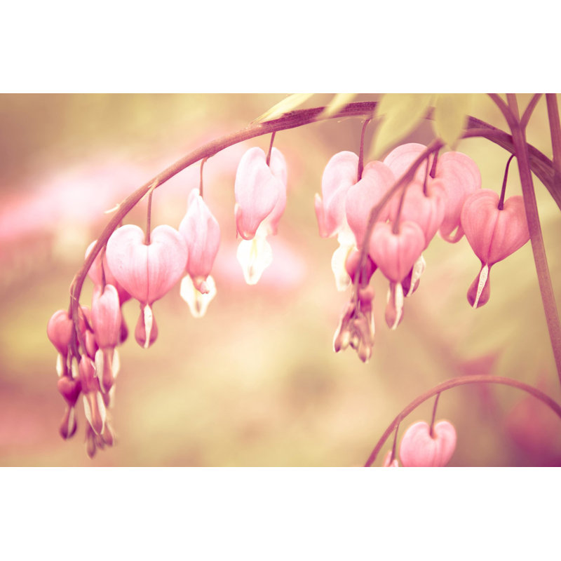 1 Piece Wrapped Canvas Wall Art, 101cm H x 152cm W x 3.81cm D