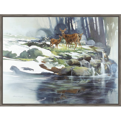 Wildlife, Birds & Animals 'Gentle Waters' Framed Painting Print