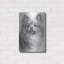 «Tickled» par Barbara Keith-1152028318