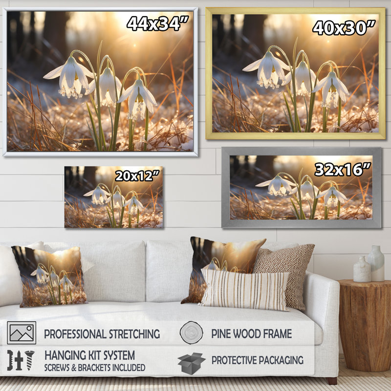 " Snowdrops Sunrise In Winter " Print, Gold Floater Framed, 24" H x 32" W x 1" D