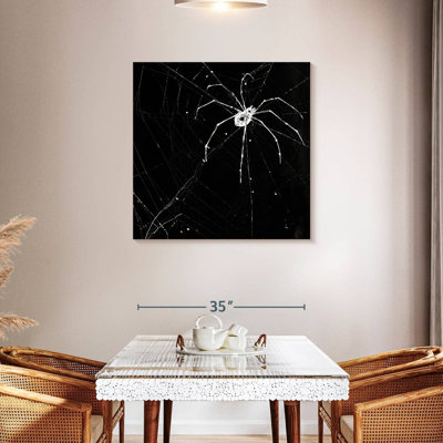 Brampt Halloween Spider