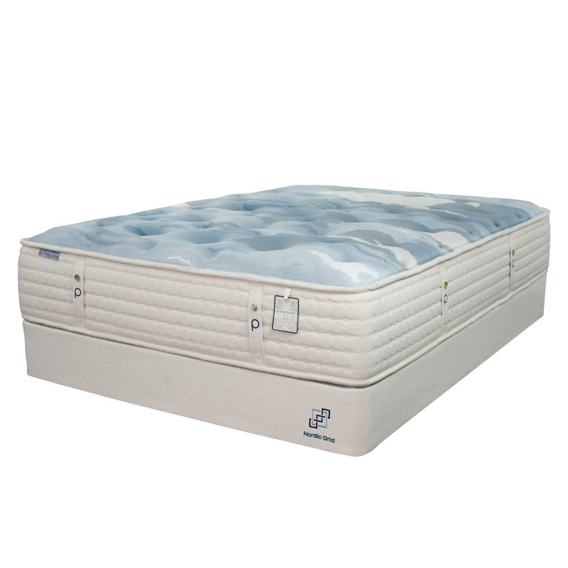Paramount Sleep Isadore Plush, Twin