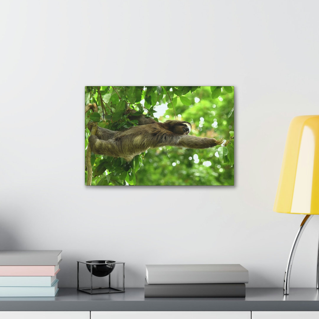 No Frame Print on Canvas