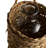 Kalos Finial