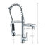 Belfry Kitchen Almena Pull Down Kitchen Faucet