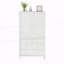 Accent Cabinet-1023280432