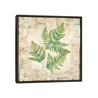 «Birch Bark Ferns I», impression sur toile