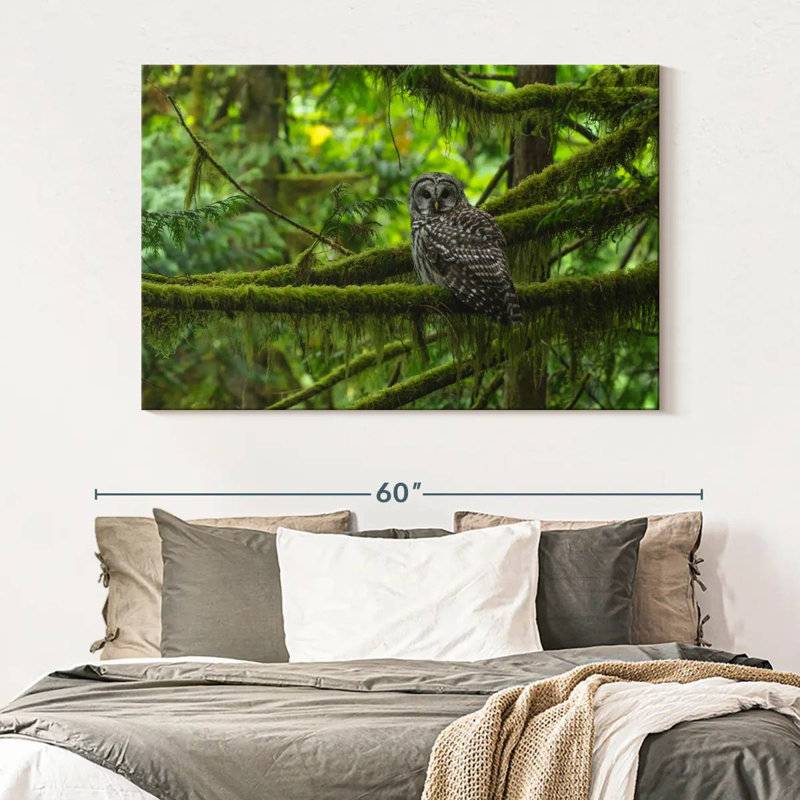 Brampt Mossy Tree Owl, 34" H x 51" W