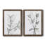 CHARCOAL FOLIAGE I - impression 2 pièces-103841424-103841431