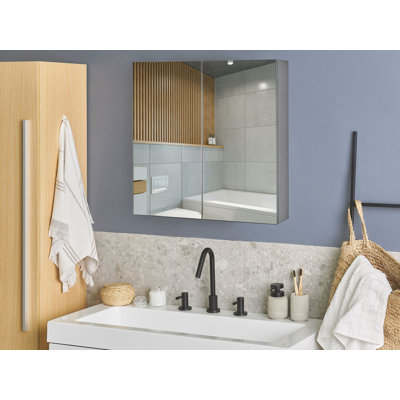 Rodricas W H Wall Mounted Required Framed Medicine Cabinet Mirror Fixed