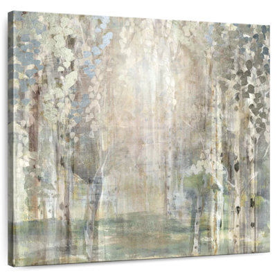 Birch Wood Clearing