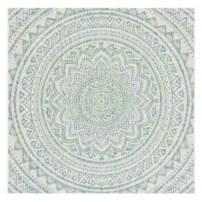 Elida Ivory/Green Indoor/Outdoor Area Rug