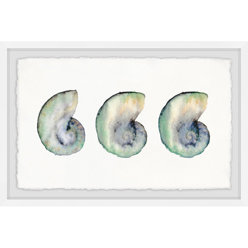 "Beach Adventure" Conch Shell Triplet ", reproduction de peinture à l'aquarelle encadrée, H 16 po x l 24 po x P 1,5 po