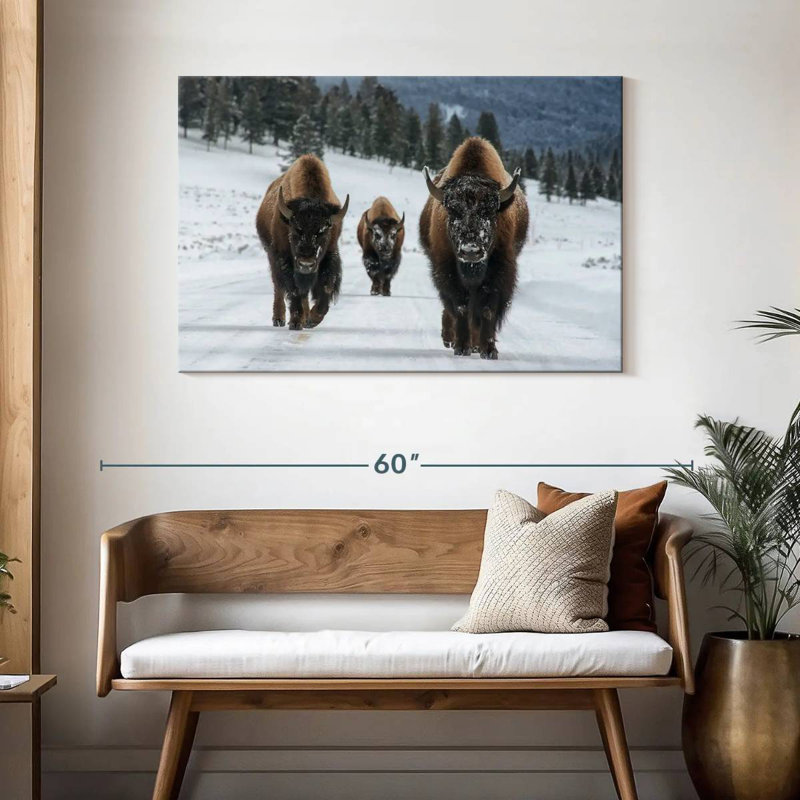 Photographie d'un bison de Brampt à Yellowstone, H 30 po x l 45 po