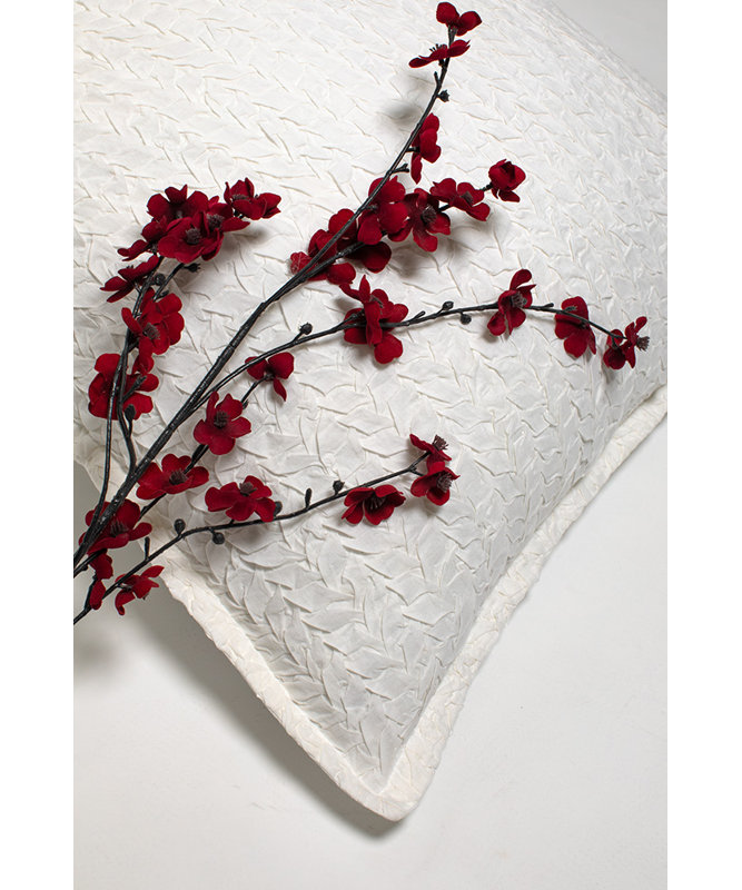 Giselle Sham, Standard