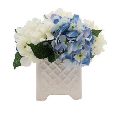 Mixed Hydrangeas In White Woven Planter