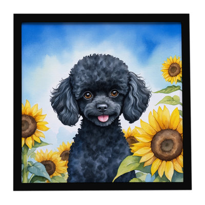 Black Poodle in Sunflowers Framed Metal Print
