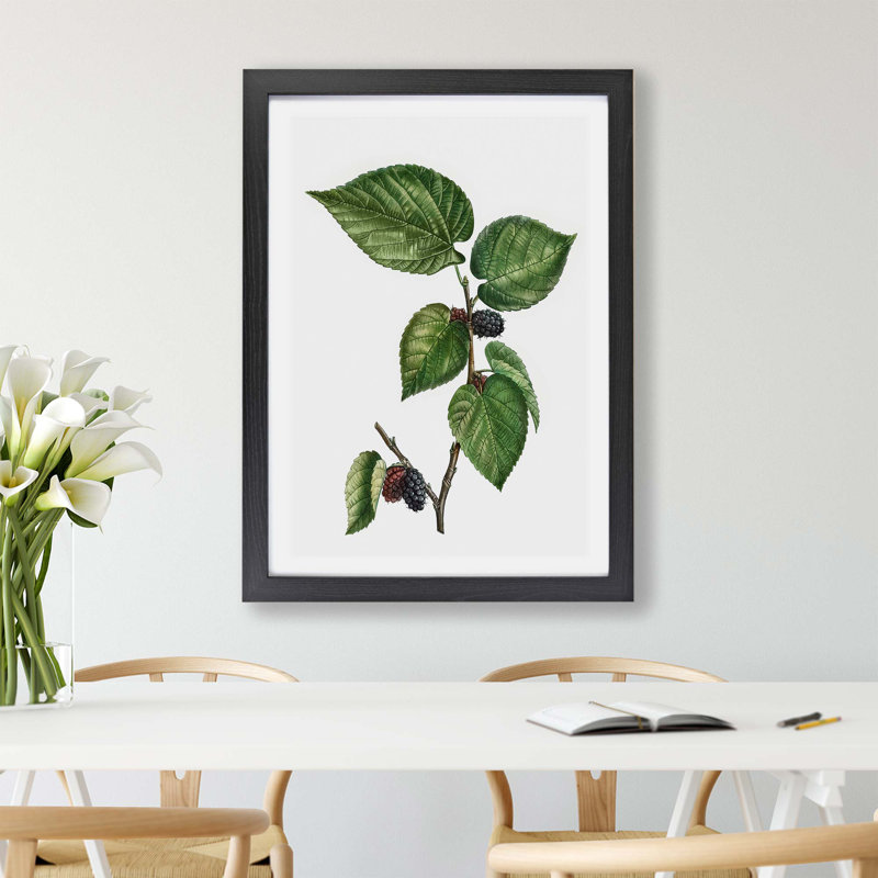 Black Mulberry Tree - Framed Print, 33cm H x 45cm W x 2cm D, Black