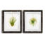 «Hanging Airplant II», ensemble de 2 impressions-1084888020