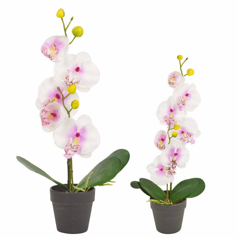 38cm Faux Flowering Plant in Pot, White, 38cm H x 10cm W x 9cm D