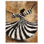 1 Piece Wrapped Canvas Wall Art