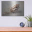 «Pinecone» par Petals Prints Design-1458551292