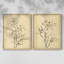 «Magnolia S croquis I», reproduction encadrée de qualité supérieure - prête à être accrochée - aucun clou requis - aucun clou requis-1881522265-1881522246