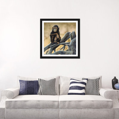 " Chimpanzee " by Jan Weenink