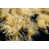 Wrapped Canvas selected