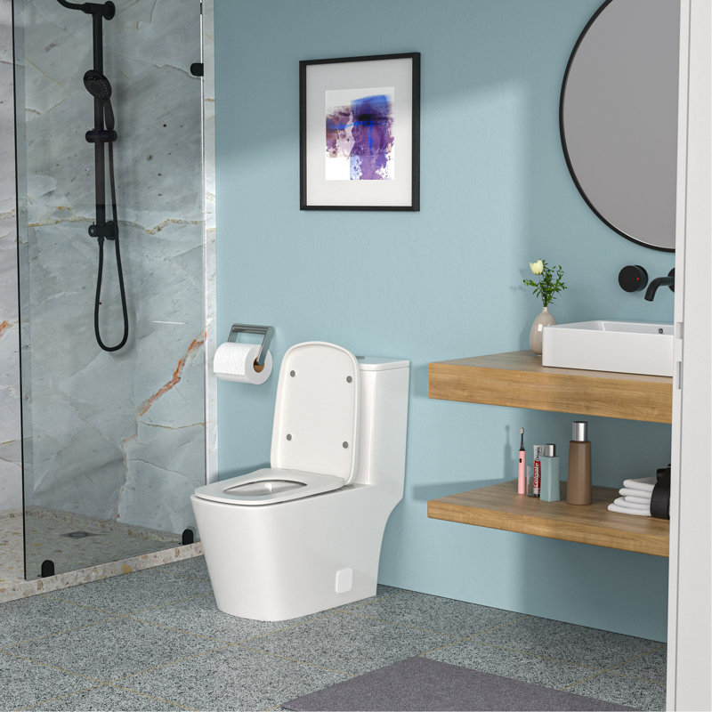 Ceramic One Piece Toilet,Dual Flush With Soft Clsoing Seat