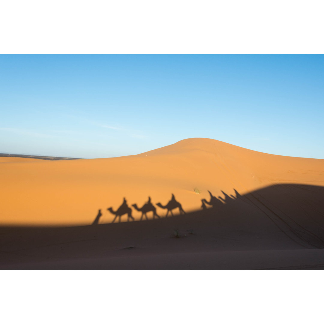 Camel Shadows On The Sand Dune In Sahara Desert