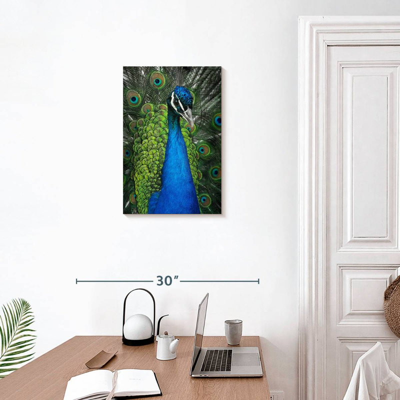 Wild Blue Peacock, 24" H x 16" W