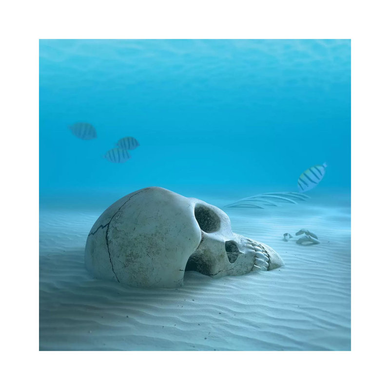 «Skull on Sandy Ocean Bottom with Small Fish Nettoyage de certains os» par Johan Swanepoel - impression sur toile tendue