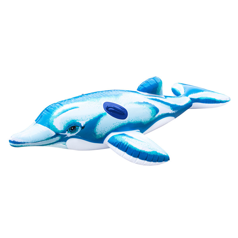 Pool Dolphin Cover