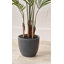 120cm Faux Plant in Cement Pot