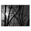 Jour et nuit - reproduction de photo-21054874