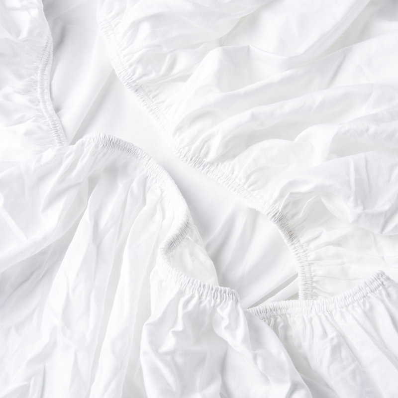 Hallenbeck 100% Cotton Plain Weave Fitted Sheet, King