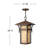 Harbor 1 -Bulb 19" H Outdoor Hanging Lantern-306585864
