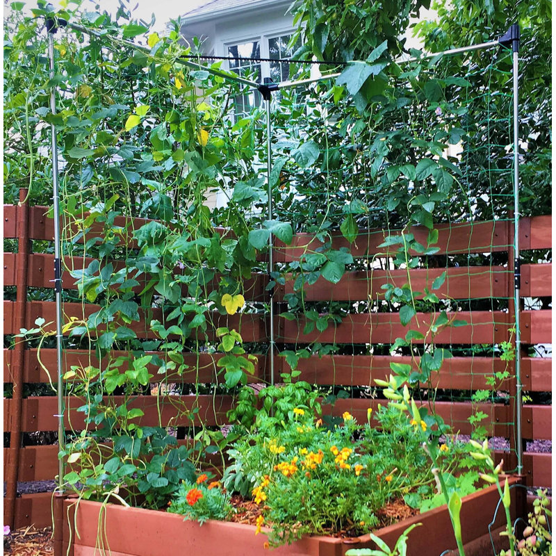 48'' x 48'' Stainless Steel Raised Garden Bed Trellis Kit