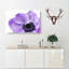 Purple Anemone Flower - Wrapped Canvas Print-56640275