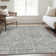 Premium Machine Washable Prisco Gray Rug