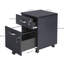 Rubianna 2 Drawer Filing Cabinet-650603683